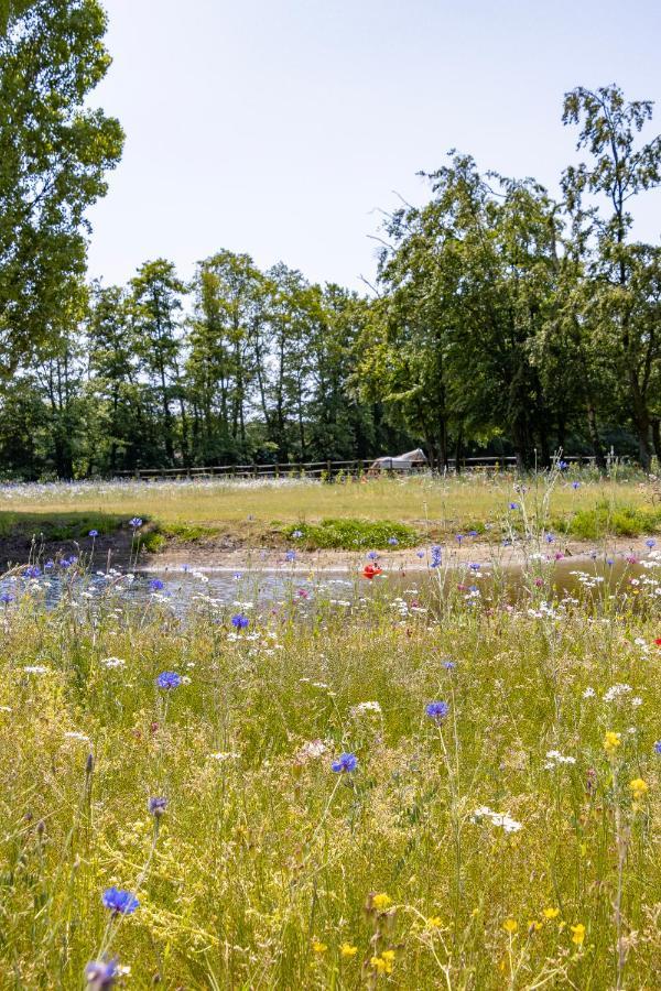 Equilodge 'T Blommeke - Reconnect With Nature Brugge Kültér fotó