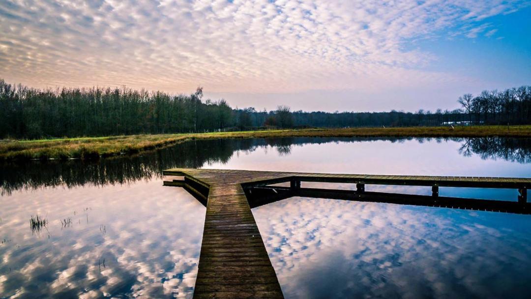 Equilodge 'T Blommeke - Reconnect With Nature Brugge Kültér fotó